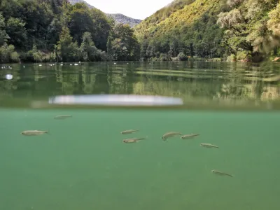 Reportaža: turizem ob in na reki Kolpi, KolpaFOTO: JAKA GASAR / NEDELJSKI