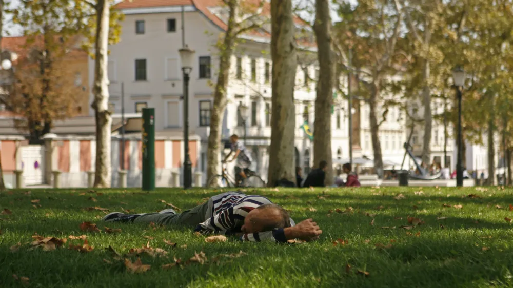 - Kongresni trg -- Zvezda park - platane - ilustrativna fotografija - brezdomec - revščina - //FOTO: Bojan Velikonja