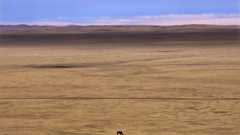 A lone horse grazes in the Munkh-Khaan region of the Sukhbaatar district, in southeast Mongolia, Saturday, May 13, 2023. Chronic drought plagues Mongolia. So does warming. Since 1940, the country's government says, average temperatures have risen 2.2 degrees Celsius (nearly 4 degrees Fahrenheit) — a measure that may seem small, but for global averages, scientists say every tenth of a degree matters, and a warming world brings more weather extremes. (AP Photo/Manish Swarup)