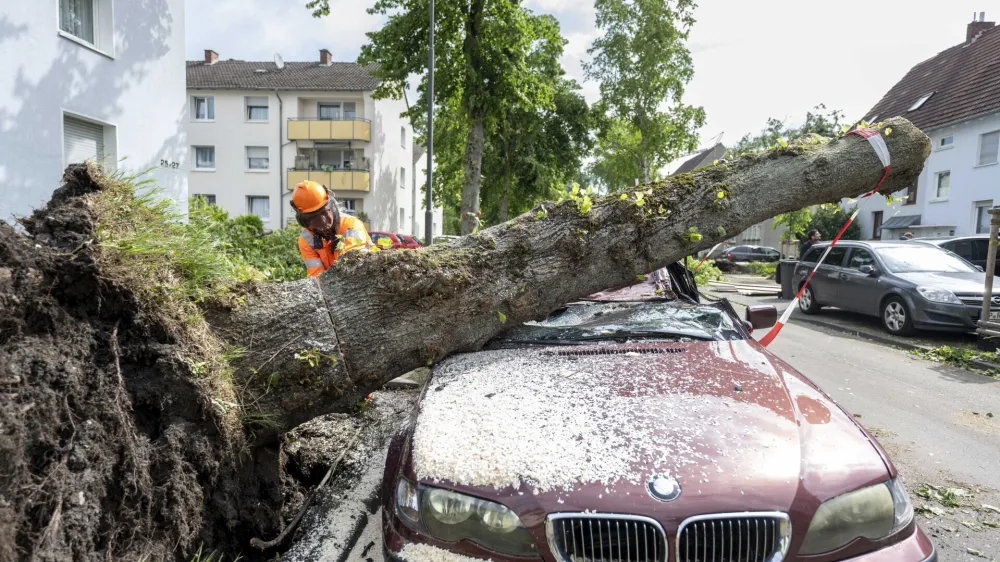 A worker removes a fallen free that fell on a car in Lippstadt, Germany, a day after heavy rains and a tornado hit the area, Saturday, May 21, 2022. (David Inderlied/dpa via AP)