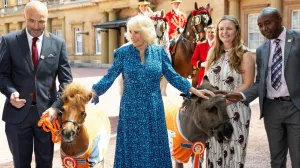 Britain's Queen Camilla poses for a group photo with mini ponies as she hosts a reception at Buckingham Palace, to mark the 90th Anniversary of Brooke, a charity dedicated to improving the lives of working horses, donkeys, and mules, in London, Britain, May 9, 2024. Geoff Pugh/Pool via REUTERS