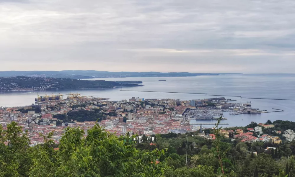 Pogled na Trža&scaron;ki zaliv / Foto: Miha First