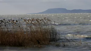 - ilustrativna fotografija - jezero Balaton- veter MADŽARSKA 2012 - Budimpešta ///FOTO: Tomaž Skale