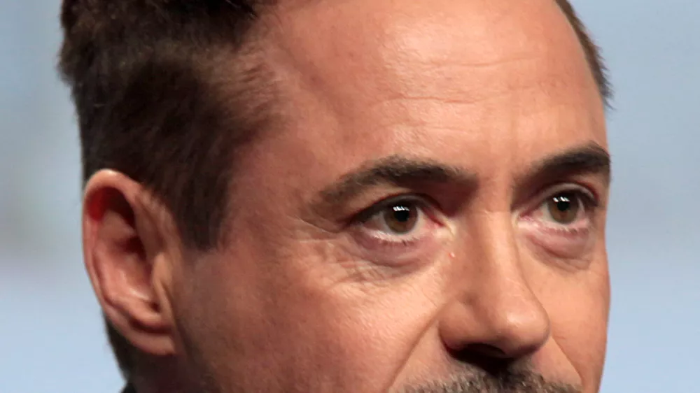 Robert Downey jr / Foto: Wikipedia