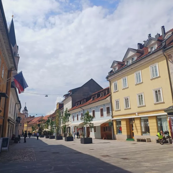 Kljub kroničnemu pomanjkanju turističnih namestitev se v Kranju tudi letos nadejajo rekordne množice obiskovalcev.