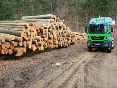 Družba Slovenski državni gozdovi. Foto: SiDG