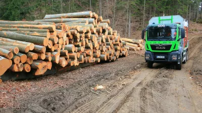 Družba Slovenski državni gozdovi. Foto: SiDG