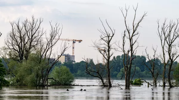 05 June 2024, Bavaria, Straubing: Trees stand in the flood waters of the Danube. The situation is easing in some flood areas in southern Germany, but remains tense on the lower Danube. Photo: Armin Weigel/dpa