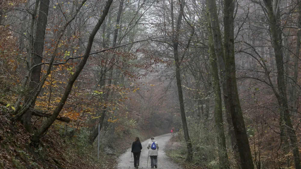 - 19.11.2020  območje hriba Golovec opremili z informacijskimi tablami in drugo urbano opremo - projekt URBforDAN //FOTO: Jaka Gasar