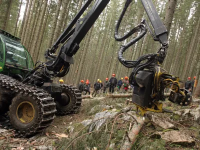 - Pokljuka - pokljuki gozdovi gostili politike - Zavod za gozdove Slovenije je povabil člane odbora DZ za za kmetijstvo, gozdarstvo in prehrano, da bi se na lastne oči prepričali kako poteka sečnja in spravilo v ujmah pokodovanega lesa  ///FOTO: Luka CjuhaOPOMBA: ZA OBJAVO V ČASOPISU DNEVNIK