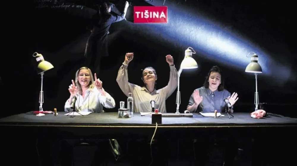 Ob podajanju absurdnih  reprezentacij ženskega spolnega organa, kratke zgodovine diskurza o vulvi ter top lestvice šovinističnih izjav doktorjev igralke preklapljajo med resno poročevalsko dikcijo in  navdušeno blebetavostjo, ki jo poznamo s komercialnih radijskih postaj.