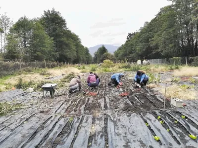 Agrodivizija je organizirana po načelih demokratičnega samoupravljanja.