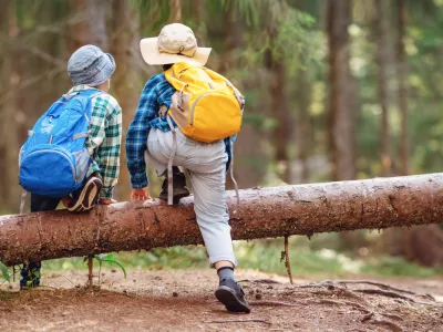 Two boys climbing over a fallen tree in the forest. Concept of the family vacation and tourism. / Foto: Lemanna