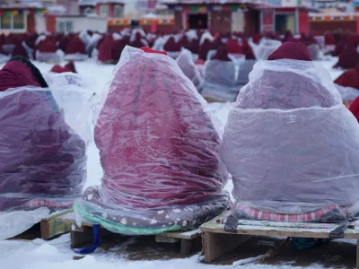 Temnoredeč gozd, dokumentarni film