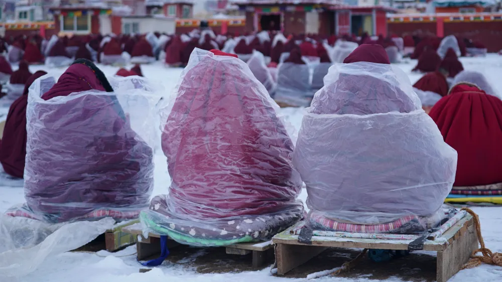 Temnoredeč gozd, dokumentarni film