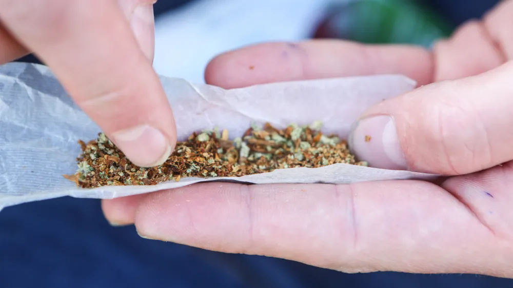 Zvijanje jointa, marihuana, kajenje marihuane, indijska konoplja- 22.04.2015 - Marihuana mar 2015 - tradicionalni shod proti prohibiciji konoplje in za liberalizacijo zakonskega področja prepovedanih drog v organizaciji tudentske organizacije Univerze v Ljubljani;  //FOTO: Bojan Velikonja