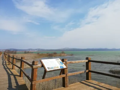 Vransko jezero je oaza miru za ptice. Zadar