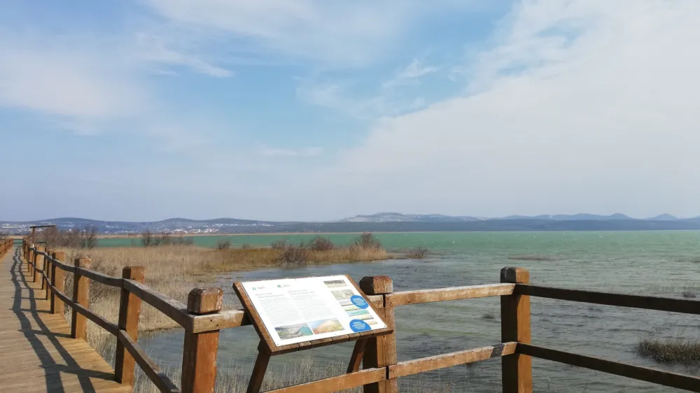 Vransko jezero je oaza miru za ptice. Zadar