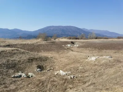 Gre za problem, ki se pojavlja že vrsto let in seveda vedno takrat ko je jezero prazno, ko se voda umakne, torej v su&scaron;nem delu leta. Kar pomeni, da se problem stopnjuje v zadnjih letih, ko jezero presiha večkrat letno. Vzrok so vremenski ekstremni in spremenjena hidrologija jezera zaradi človekovih posegov vanj. Kot je znano so si ljudje pred stoletjem sku&scaron;ali olaj&scaron;ati življenje tako, da so želeli jezero osu&scaron;iti. Čisto legitimno je bilo seveda to takrat,. Danes zato plačujemo posledice, ki so kot je razvidno iz tega problema večplastne. 