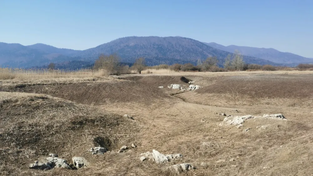 Gre za problem, ki se pojavlja že vrsto let in seveda vedno takrat ko je jezero prazno, ko se voda umakne, torej v su&scaron;nem delu leta. Kar pomeni, da se problem stopnjuje v zadnjih letih, ko jezero presiha večkrat letno. Vzrok so vremenski ekstremni in spremenjena hidrologija jezera zaradi človekovih posegov vanj. Kot je znano so si ljudje pred stoletjem sku&scaron;ali olaj&scaron;ati življenje tako, da so želeli jezero osu&scaron;iti. Čisto legitimno je bilo seveda to takrat,. Danes zato plačujemo posledice, ki so kot je razvidno iz tega problema večplastne. 