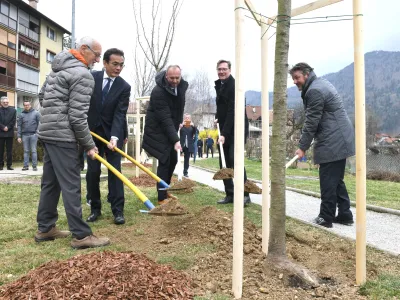 Še zadnjo od 30 japonskih češenj v sakura parku ob Rinži so posadili (z leve) olimpionik Miro Cerar, japonski veleposlanik Hiromichi Matsushima, Andrej Janša iz SDG, župan Vladimir Prebilič in direktor Yaskawa Slovenija Hubert Kosler. F 