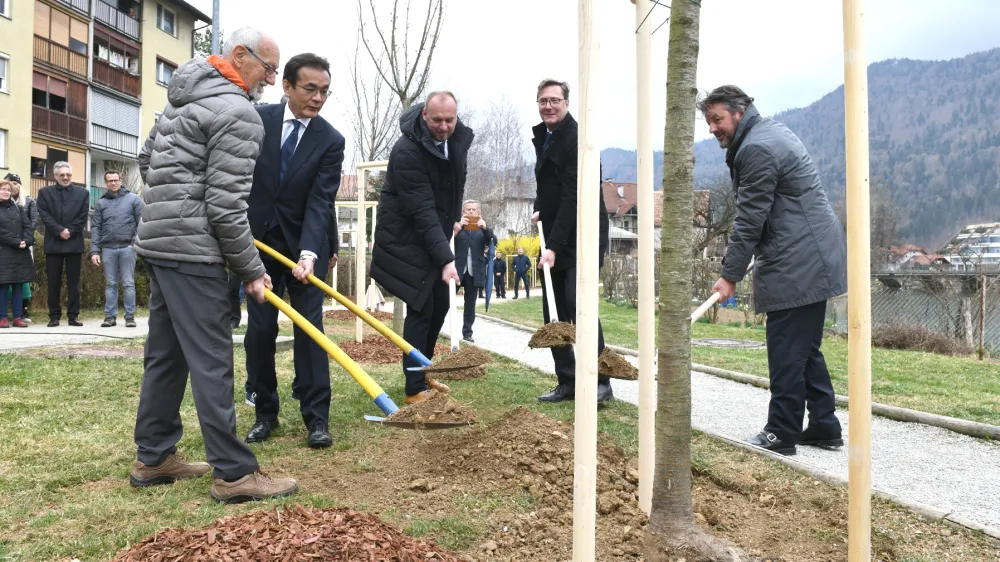 Še zadnjo od 30 japonskih češenj v sakura parku ob Rinži so posadili (z leve) olimpionik Miro Cerar, japonski veleposlanik Hiromichi Matsushima, Andrej Janša iz SDG, župan Vladimir Prebilič in direktor Yaskawa Slovenija Hubert Kosler. F 