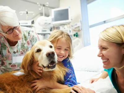 Young Girl Being Visited In Hospital By Therapy Dog