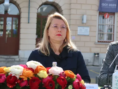 dr. Kaja &Scaron;irok, zgodovinarka, direktorica javnega zavoda GO! 2025