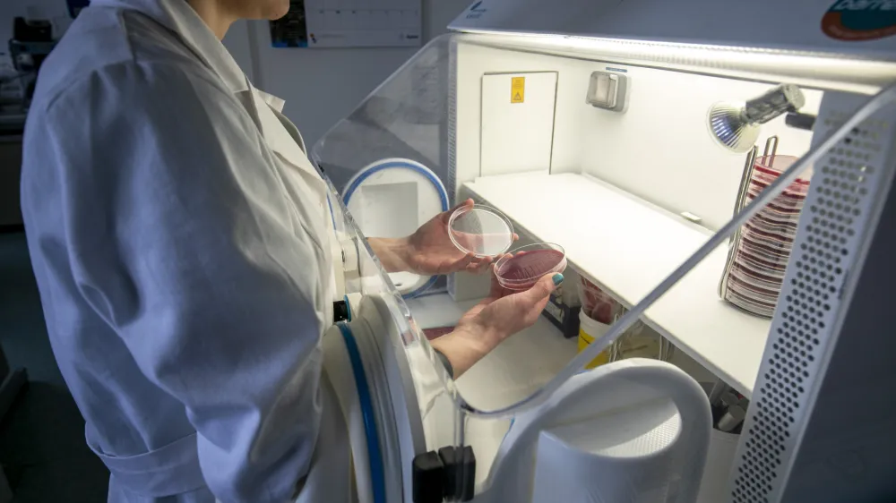 - 04.03.2020  Maribor - Nacionalni laboratorij za zdravje, okolje in hrano (NLZOH) - Center za medicinsko mikrobiologijo  testiranje vzorcev dihal bolnikov pri katerih obstaja sum na okubo z novim koronavirusom SARS-CoV-2 (COVID-19), Prvomajska 1 v Mariboru //FOTO: Matja RutOPOMBA: REPORTAA ZA OBJEKTIV 2020