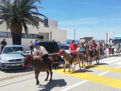 Prireditev Prvomajska zarja v Baški Vodi že od nekdaj privabljala veliko obiskovalcev, zaradi praznikov in podaljšanega vikenda pa je bila Dalmacija polna tudi slovenskih gostov. Poleg jutranje budnice lokalne godbe in deljenja nageljnov po promenadi, je množica spremljala dirko oslov, kasneje tudi natakarjev. Najbolj pogumni pa so se v borbi za jagnje poskušali povzpeti do njega po naoljenem drogu