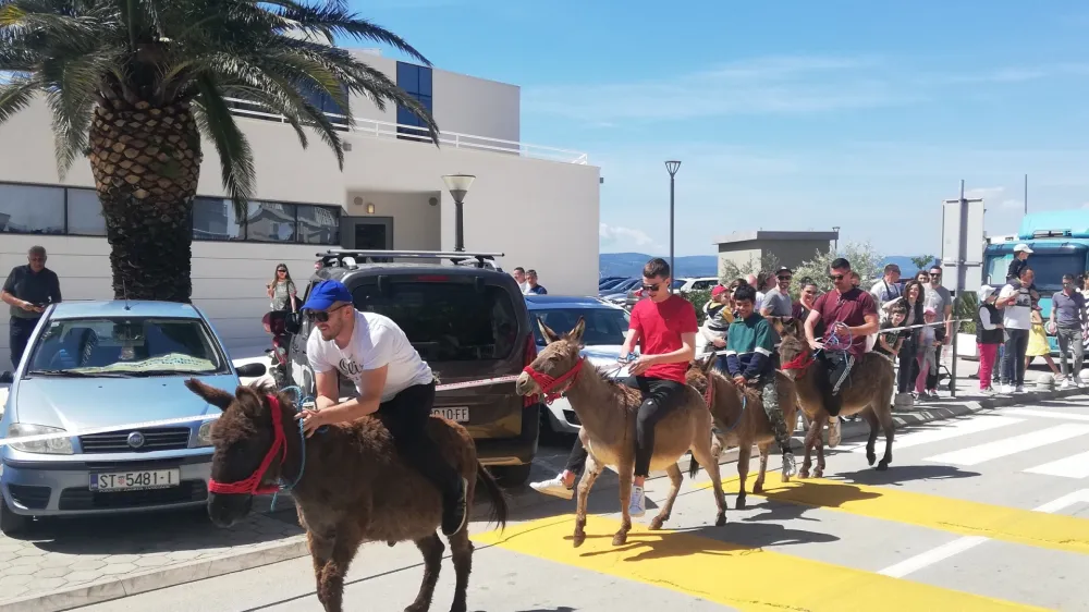 Prireditev Prvomajska zarja v Baški Vodi že od nekdaj privabljala veliko obiskovalcev, zaradi praznikov in podaljšanega vikenda pa je bila Dalmacija polna tudi slovenskih gostov. Poleg jutranje budnice lokalne godbe in deljenja nageljnov po promenadi, je množica spremljala dirko oslov, kasneje tudi natakarjev. Najbolj pogumni pa so se v borbi za jagnje poskušali povzpeti do njega po naoljenem drogu