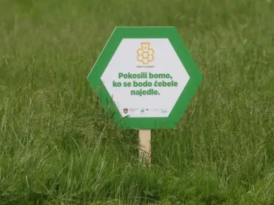 Travnik, medovite rastline