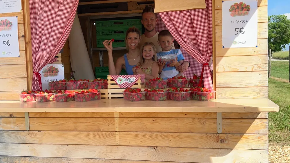 Sladke jagode na Tomačevski cesti<br>Luka Brazu&scaron;