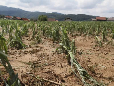 &raquo;Kot bi čez polje peljal velik kombajn,&laquo; je dejal eden od kmetov v okolici Šentruperta, ki je nemočno opazoval razdejanje, kakršnega na Dolenjskem ne pomnijo.