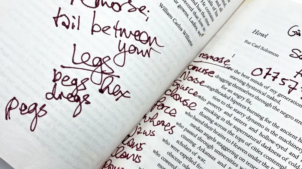 Skupno bo na dražbi naprodaj 227 knjig, ki so bile v lasti amy Winehouse. F instagram