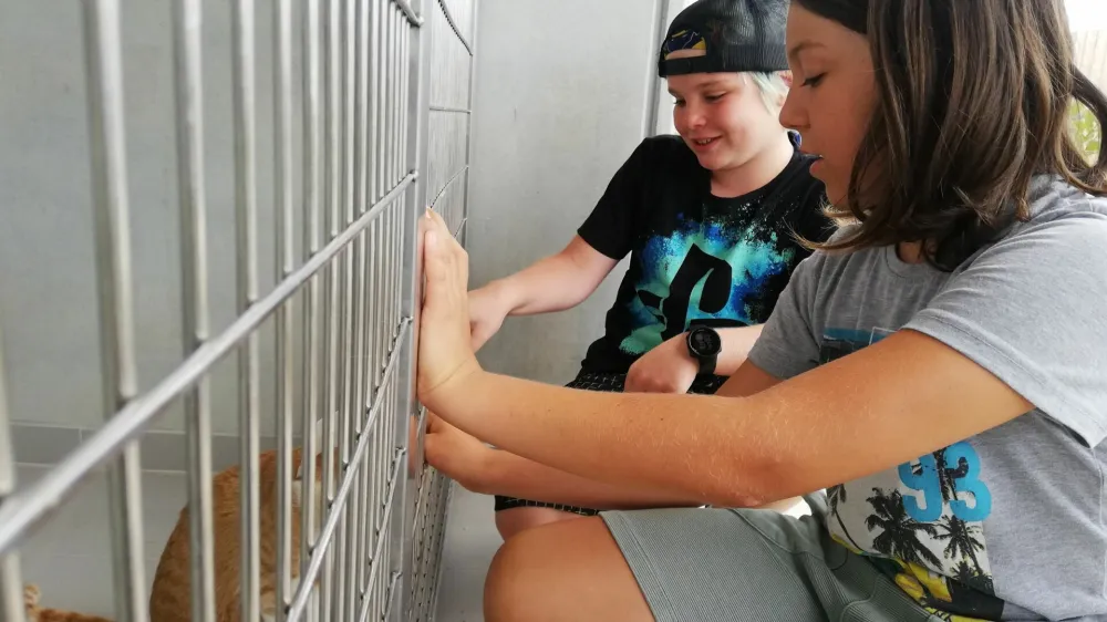 Tako kot lani bodo Mladi zmaji tudi letos organizirali počitnice v zavetišču Gmajnice.&nbsp;