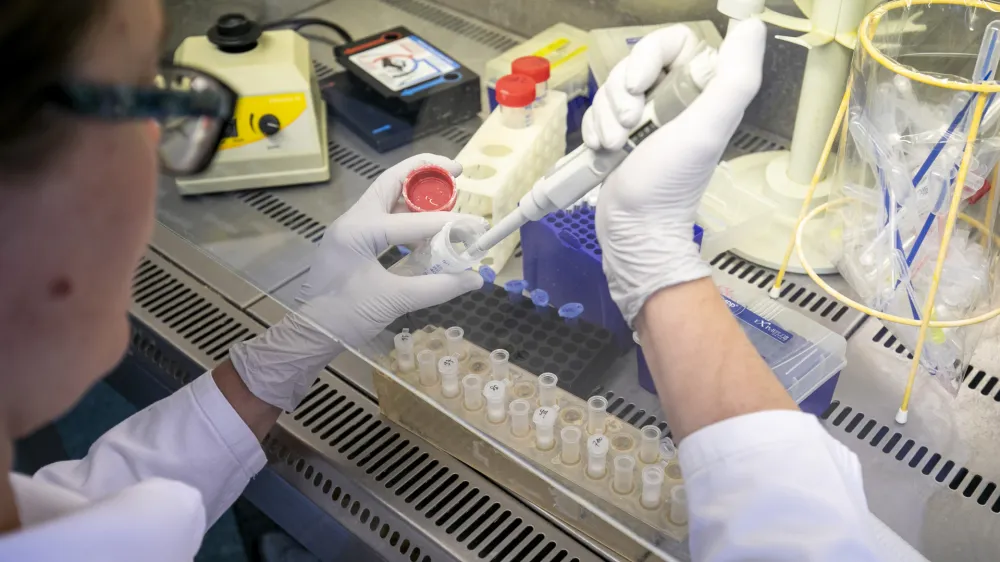 - 04.03.2020  Maribor - Nacionalni laboratorij za zdravje, okolje in hrano (NLZOH) - Center za medicinsko mikrobiologijo  testiranje vzorcev dihal bolnikov pri katerih obstaja sum na okubo z novim koronavirusom SARS-CoV-2 (COVID-19), Prvomajska 1 v Mariboru //FOTO: Matja RutOPOMBA: REPORTAA ZA OBJEKTIV 2020