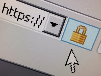 FILE PHOTO: A lock icon, signifying an encrypted Internet connection, is seen on an Internet Explorer browser in a photo illustration in Paris, France April 15, 2014. REUTERS/Mal Langsdon/File Photo