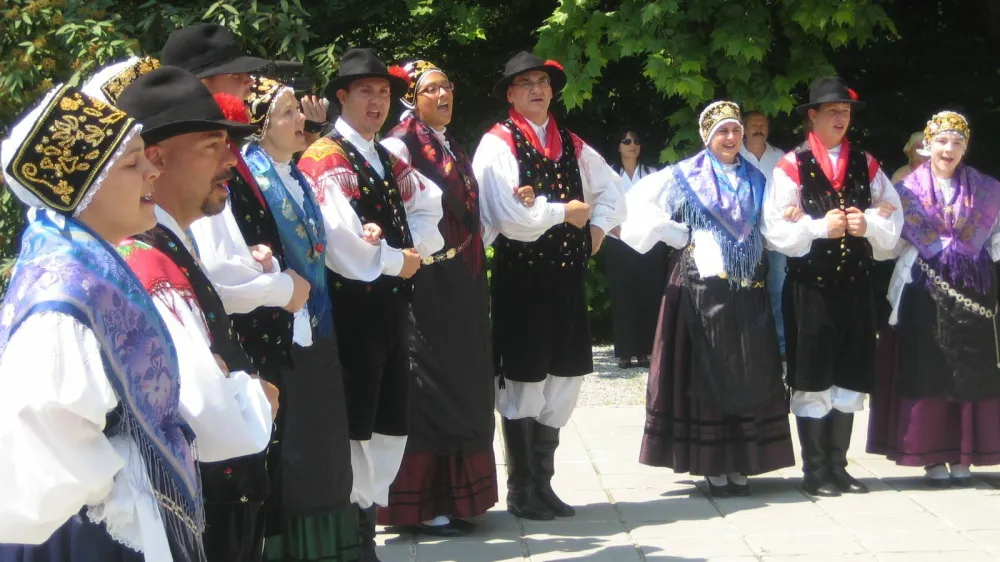 V nedeljo, 3. julija, bo v zavodu sv. Stanislava že 28. tabor Slovencev po svetu, ki ga ob svoji 30-letnici pripravlja društvo Slovenija v svetu. Na fotografiji 16. tabor leta 2009 v Šmarjeških Toplicah. Foto:&nbsp;Dragana Stanković&nbsp;