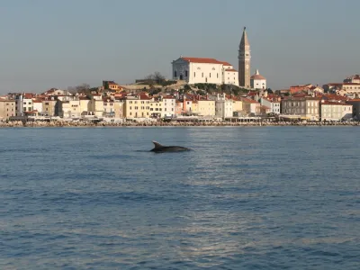 Piran, morje, slovensko morje