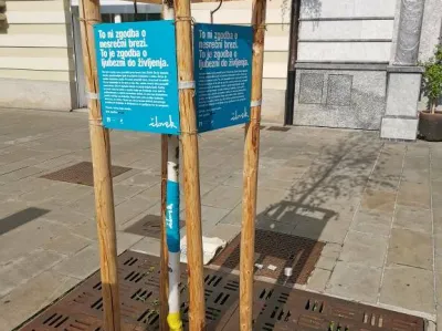 Po&scaron;kodovano brezo smo simbolno povili s skrbjo za življenje, ob njej pa namestili tablice z življenjsko zgodbo brez, ki so stale na tem mestu. Breza je tako postala simbol upanja za vsa drevesa v mestu, da ne bi nikoli postala žrtev vandalizma.