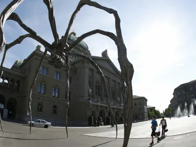 Neznani evropski zbiralec je galeriji Hauser &amp; Wirth odštel 40 milijonov dolarjev za eno izmed skulptur Spider francosko-ameriške kiparke Louise Bourgeois. (Fotografija je simbolična)