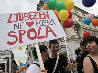 Ustavni sodniki so presodili, da absolutna prepoved uvrstitve istospolnih partnerjev na seznam kandidatov za skupno posvojitev ni primeren ukrep za zasledovanje varstva največje koristi otroka.