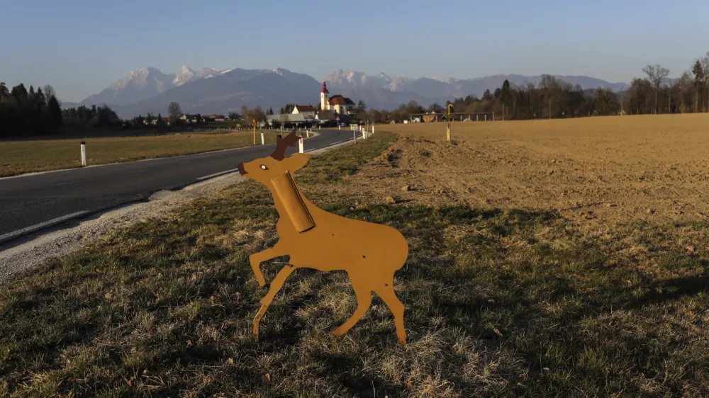 Pristojni si že vrsto let na različne načine &ndash; tudi z name&scaron;čanjem opozorilnih tabel &ndash; prizadevajo zmanj&scaron;ati &scaron;tevilo trkov vozil z divjadjo na slovenskih cestah.