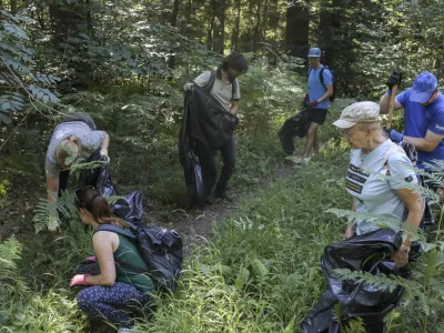 Akcijo odstranjevanja deljenolistne rudbekije v rezervatu Mali Rožnik so podprli tudi prostovoljci.&nbsp;