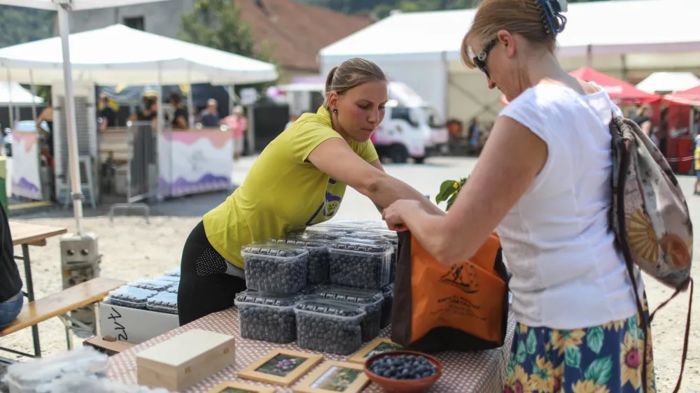 17.07.2022. Festival borovnic v Borovnici.//FOTO: Bojan Velikonja