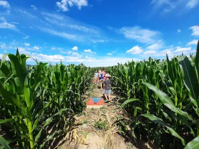 Pred odprtjem kranjskega labirinta so imeli precej težav s sušo, a je na srečo zadnje deževje koruzo dovolj namočilo in ta zdaj lepo uspeva.