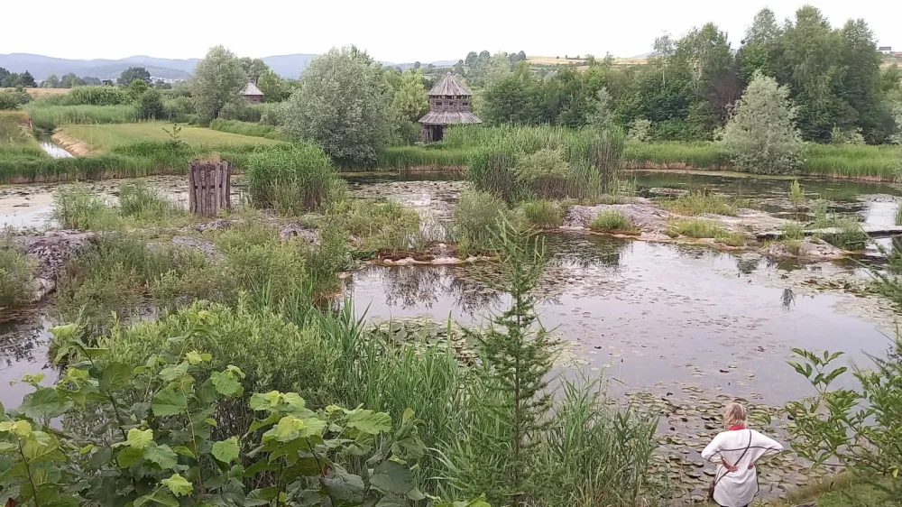 Priljubljena&nbsp;izletni&scaron;ka&nbsp;točka na pragu Ljubljane, naravni&nbsp;park&nbsp;Vodomčev gaj pod vasjo Cerovo pri Grosupljem&nbsp;
