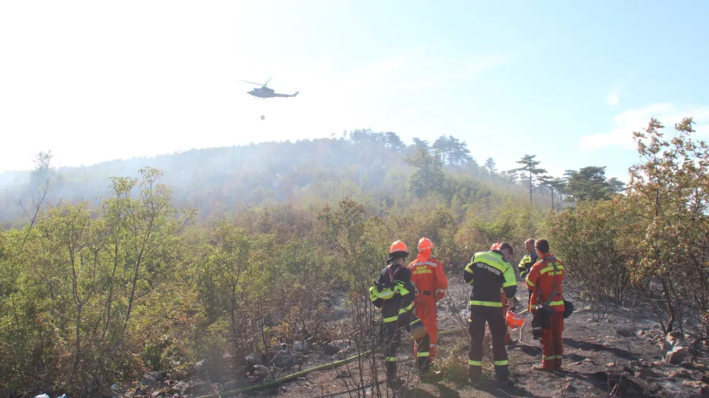 Ovcnjak.<br>Pozar, ki je popoldne znova izbruhnil na Velikem Ovcnjaku nad vasjo Sibelji, je lokaliziran in pod nadzorom, gasilce pa ponoci caka se kar nekaj dela, saj se se pojavljajo posamezna zarisca. Na goriskem Krasu je medtem dan minil mirno, na pogoriscu pa tudi cez noc ostaja pozarna straza. Pozar je lokaliziran tudi na italijanski strani meje.<br>Foto: Stab CZ Notranjska