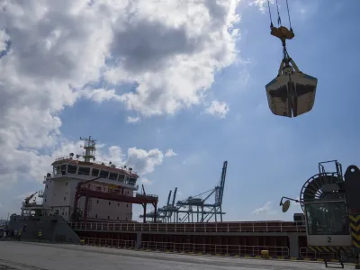 The cargo ship Polarnet, arrives to Derince port in the Gulf of Izmit, Turkey, Monday Aug. 8, 2022. The first of the ships to leave Ukraine under a deal to unblock grain supplies amid the threat of a global food crisis arrived at its destination in Turkey on Monday. (AP Photo/Khalil Hamra)